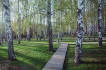 Парк Швейцария в Нижнем Новгороде 3 мая закроют на акарицидную обработку