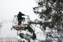 Установка главной новогодней елки началась на главной пощади Нижнего Новгорода
