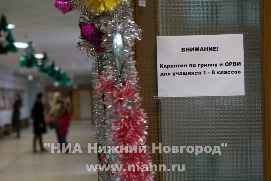 Шесть школ закрыты на карантин в Нижнем Новгороде по данным на 25 января