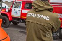 Пожароопасный сезон официально завершился в Нижегородской области