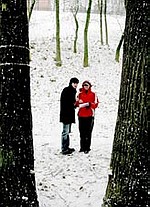 Есть как минимум две точки зрения на перспективы развития парка