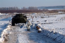 Мина обнаружена - собака села к ней спиной