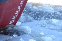 Толщина льда местами достигает 70 см