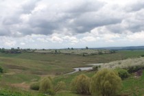 Издалека цветущие вишневые деревья напоминают снег