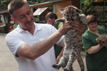 Директор зоопарка Лимпопо Владимир Грасичкин