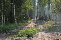Для локализации огня проводится опашка территории