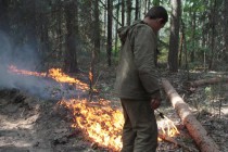 Встречный пал – один из методов тушения лесных пожаров