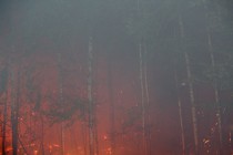 Лесной пожар, переходящий в верховой