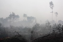 Торфяные пожары сохраняются в низинах на западной границе Нижнего Новгорода