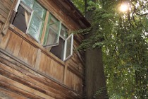 На одну из стен дома №4-б по ул. Славянской навалилось дерево