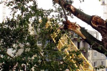 Башенный кран рухнул на строящийся дом