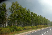 Арзамасский район