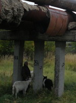 Работники Нижегородской ГРЭС заявляют о неготовности муниципальных теплосетей Балахны к отопительному сезону