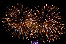 Армейский салют в честь Дня защитника Отечества