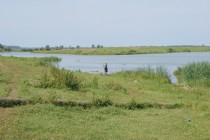 Поймать браконьера нелегкая задача