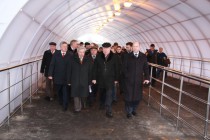 Проводить губернатора в поездку по канатной дороге пришло около 100 человек