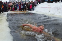 Шоу моржей - проведение заплыва в открытой воде