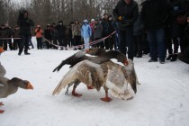 Моменты боя