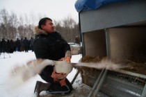 Заводчик извлекает гуся из клетки