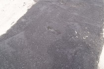 Свежий след