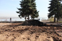 Ели на Георгиевском съезде