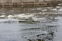 Волга не полностью очистилась ото льда, суда до чистой воды будут сопровождать ледоколы