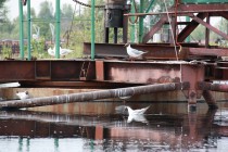 Нижегородская станция аэрации