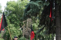 Пикетирующие