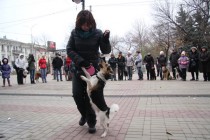 Участница соревнований вместе со своим питомцем