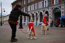 Участница соревнований демонстрирует навыки дрессуры