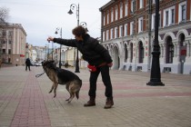 Участница соревнований демонстрирует навыки дрессуры