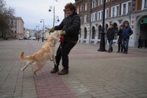 Участница соревнований демонстрирует навыки дрессуры