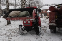 На тракторе трупы условных свиней подвозят к месту кремации
