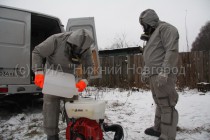 Ветеринары заливают обеззараживающий раствор в ранцевый моттоопрыскиватель