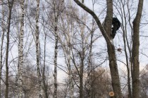 Работа промышленного альпиниста