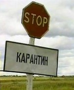 Карантин по бешенству с начала 2013 года объявлен в семи районах Нижегородской области