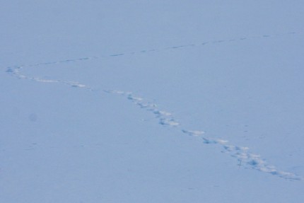Губернатор Нижегородской области Валерий Шанцев осмотрел шламонакопитель Белое море в Дзержинске