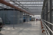 В этих больших емкостях накапливается вода для полива растений. Кстати, вода используется не из городского водопровода, а из лесного озера, расположенного недалеко от предприятия