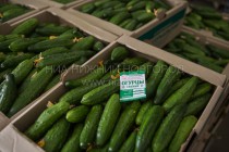 Огурчики готовы отправится на прилавок магазинов