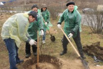 Нижегородцы приняли участие в общегородском субботнике