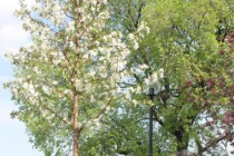Олег Кондрашов совершил объезд Нижегородского района города
