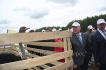 Губернатор осматривает загон со страусами