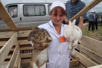 Кролики-великаны