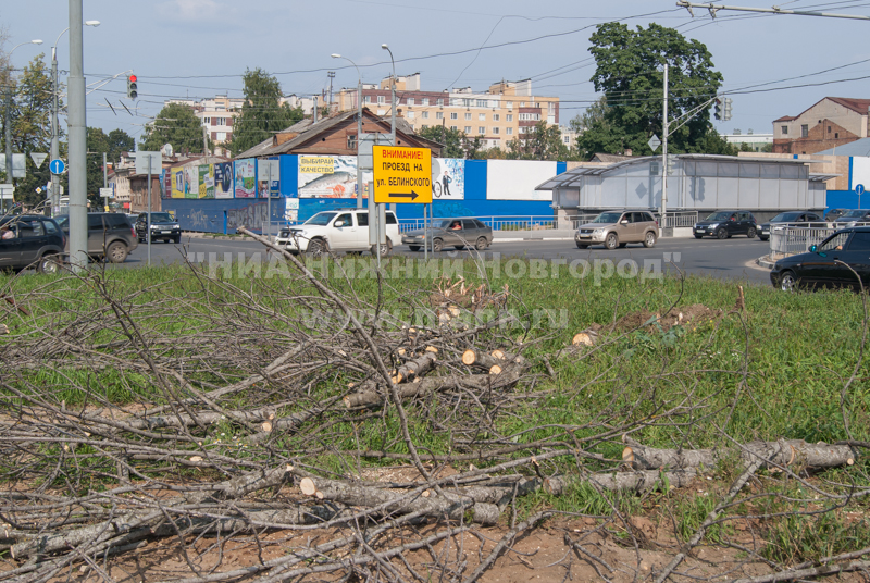 Большинство каштанов на пл. Лядова в Нижнем Новгороде вырублены