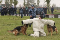 День призывника состоялся в нижегородском парке Победы