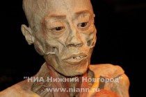 На выставке представлены тела азиатов из Гонконга