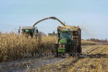 Сбор урожая кукурузы на силос