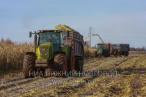 Сбор урожая кукурузы и одновременная его переработка в карнаж