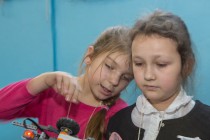 Открытая городская ярмарка роботов