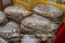 Открытие фестиваля-презентации туристских ресурсов ПФО Открой Приволжье